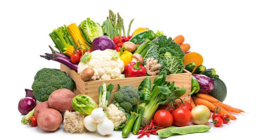 cibi amici della vista istituto ottico veronesi bologna